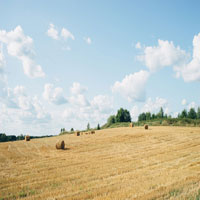 Hay Bales. I love hay bales. Took this snap on a drive through the countryside past some straw fields.