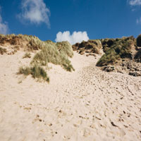 Dunes. My summer vacation to the Oregon Coast. I love the sandy dunes!