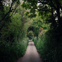 Countryside Lane. We enjoyed a quiet stroll down this countryside lane. 